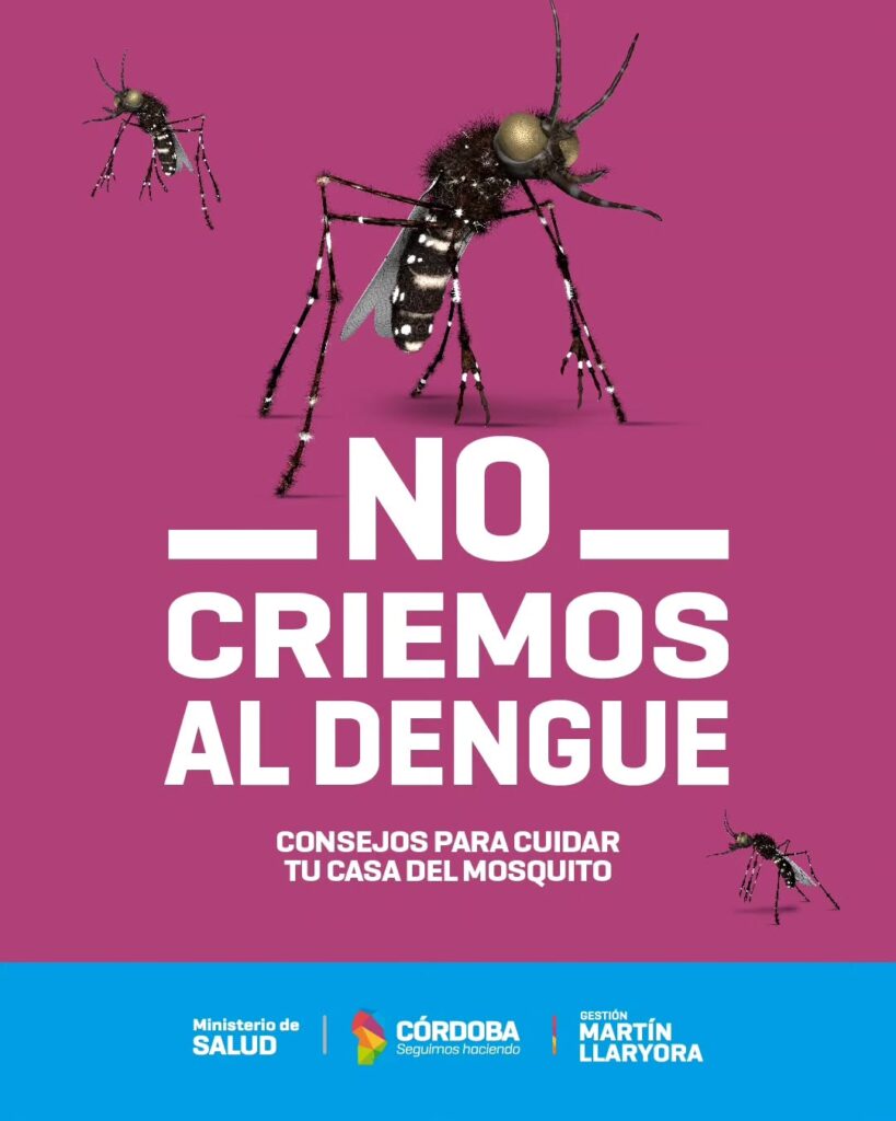prevención del dengue Isla Verde